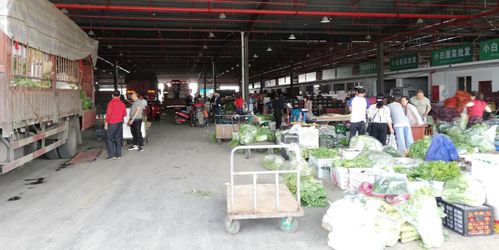 當好廣元人民的菜籃子，川陜甘農產品交易中心 從集散樞紐到研發引擎的蝶變