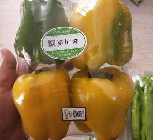 食用農產品合格證 研發環節的隱形守護者