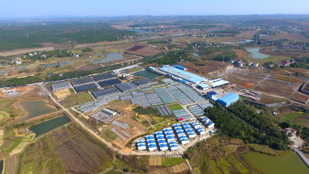 東安 立足特色資源，以科技研發(fā)驅(qū)動(dòng)現(xiàn)代農(nóng)業(yè)與食用農(nóng)產(chǎn)品產(chǎn)業(yè)高質(zhì)量發(fā)展